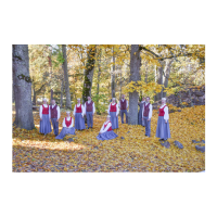 Raunas Kultūras centra tautas deju kolektīvs "Trejdeviņi"